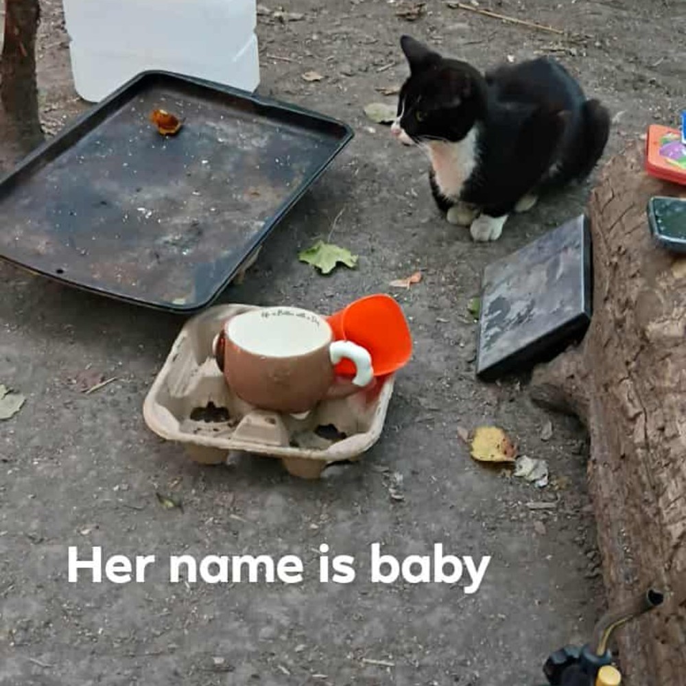 Meet your Posher, Antwan